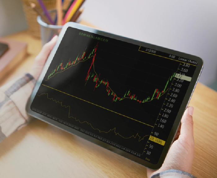Bourse Panel